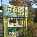 양평양떼목장 | [서울 근교 나들이] 아기랑 양평 양떼목장 방문 후기｜가볼만한 가족 체험농장 (+맛집소개)