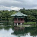 미스펌킨 이미지