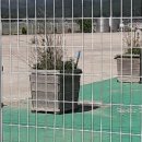 선원면-4 이미지