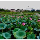 지사울공원 이미지