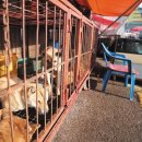 모란가축시장 이미지