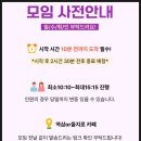 강남 역삼 을지로 오프라인 소개팅 로테이션 추천 가성비 가격 이벤트 참여 방법 꿀팁 총정리