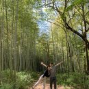 금성산성오토캠핑장 이미지