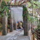 둔덕면사무소 이미지