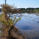 엣지민박 이미지