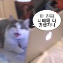 이지수미용실 - 경주시 구부랑4길 24-1 | [전시 후기] 불멸의 화가 반 고흐전 (2025 2월 관람기)