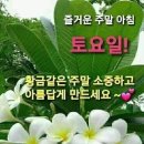 신나고 즐거운 이미지