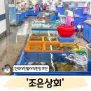 광안리 회포장 맛집 민락어민활어직판장 추천 '조은상회 후기' (feat. 등대회초장)