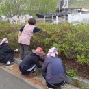 여자만마을 이미지