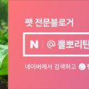 아쿠아pure 이미지