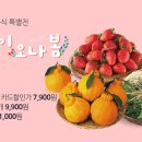 [메가마트몰] 봄이 오나봄♡ 딸기 1kg 카드할인가 7,900원 이미지