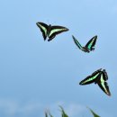 삶과 죽음 이미지