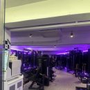 인스타GYM 이미지