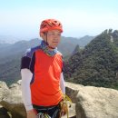 비둘기길 이미지