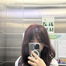 청주미용실 지혜살롱 레드브라염색 솔직후기