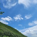 부원식당 | 산 아래 포항 내연산 맛집, 맛있고 건강한 오리백숙 -부원식당