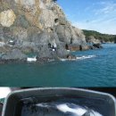 진포인트 이미지