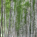 방자농장 이미지