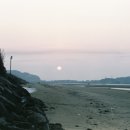 자작나무 펜션 이미지