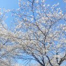 김천초등학교 이미지