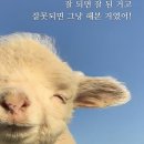 충북대학교 경영대학원 이미지