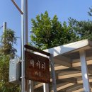 하얀이언니네 이미지