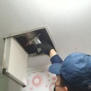 대구방역 이미지