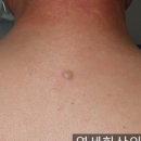 연세화산외과 이미지