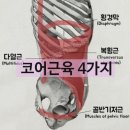 공덕코어 이미지