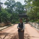 김천 직지사 순례길 이미지