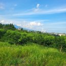 향토공인중개사사무소 이미지