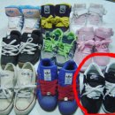 보노포스 이미지