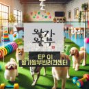 왈가왈부 반려견센터 이미지
