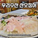 흥안수산 | [안양 인덕원] 겨울 제철 대방어 먹으러 방문한 인덕원횟집 '우리수산 산오징어' 대방어+광어 후기
