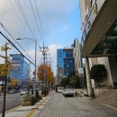 메디아이스튜디오 | [임신일기] 메디아이여성의원 서용수 원장님 11주 3일차 검진 초음파 기록