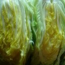 바람과 여울