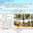 가정통신문-39호 여름캠프 이미지