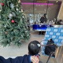 (주)세온 | 오랜만에 쓰는 일상👶🏻