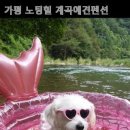 가평노팅힐계곡애견펜션 이미지