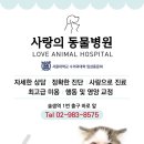 솔샘동물병원 이미지