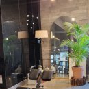 스타벅스커피 서초중앙로점 이미지