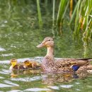 원그램 | 대학생 노트북 구매: 100만원대 삼성 vs LG그램 vs 맥북, 실사용 가성비 후기 비교했어요