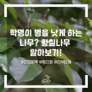 다산임업