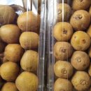 불태산농장 이미지