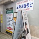 오화체형동안