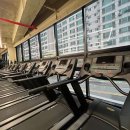 프라이드핏 이미지