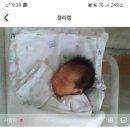 미사린산부인과의원 | 하남 미사린 산부인과 박창민 원장님 제왕절개 후기