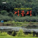 기곡지 이미지