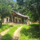봉화 금씨 군위공종택 | 명호면,고감리 - 봉화금씨, 군위공종택1450년