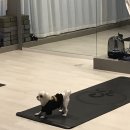 핏앤컨트롤 이미지